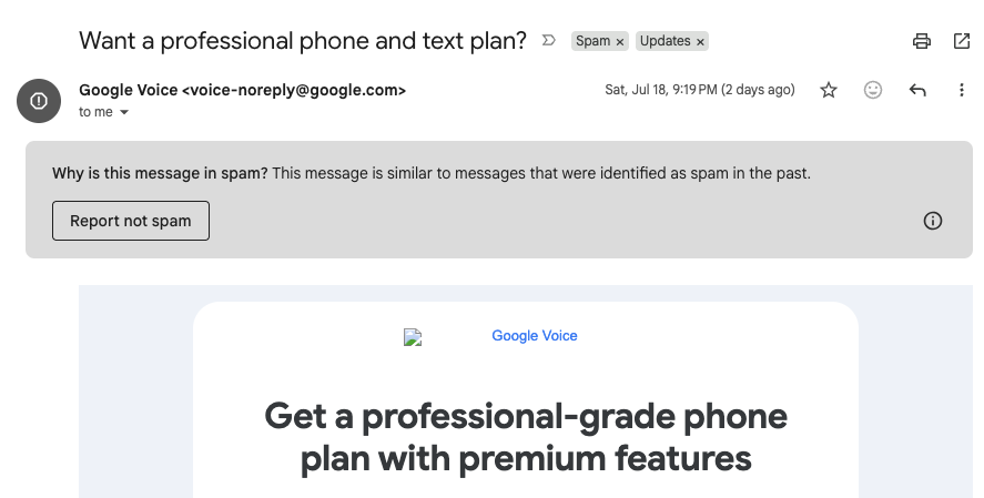 google voice email in spam